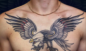 tattoo-spb male color healed traditional 9hours tattoo eagle breast custom design