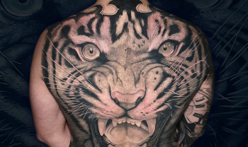 tattoo-spb male black`n`grey healed some sessions full back realistic tattoo tiger head custom design